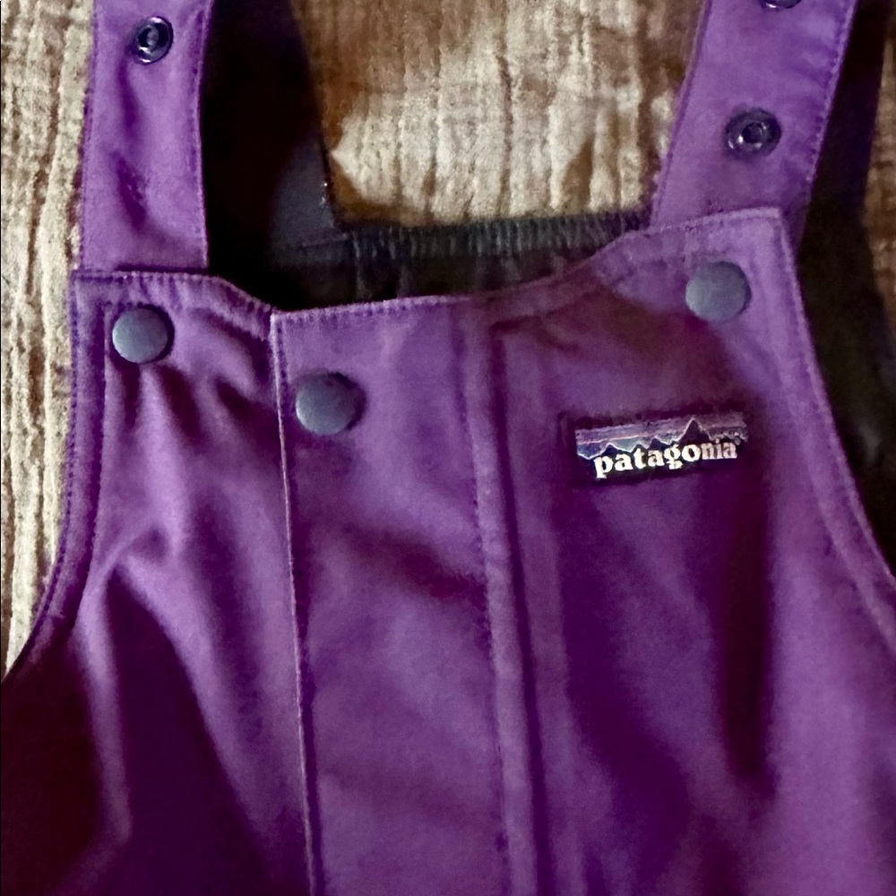Girls 3T Patagonia Snow Pile ski bibs & ski coat